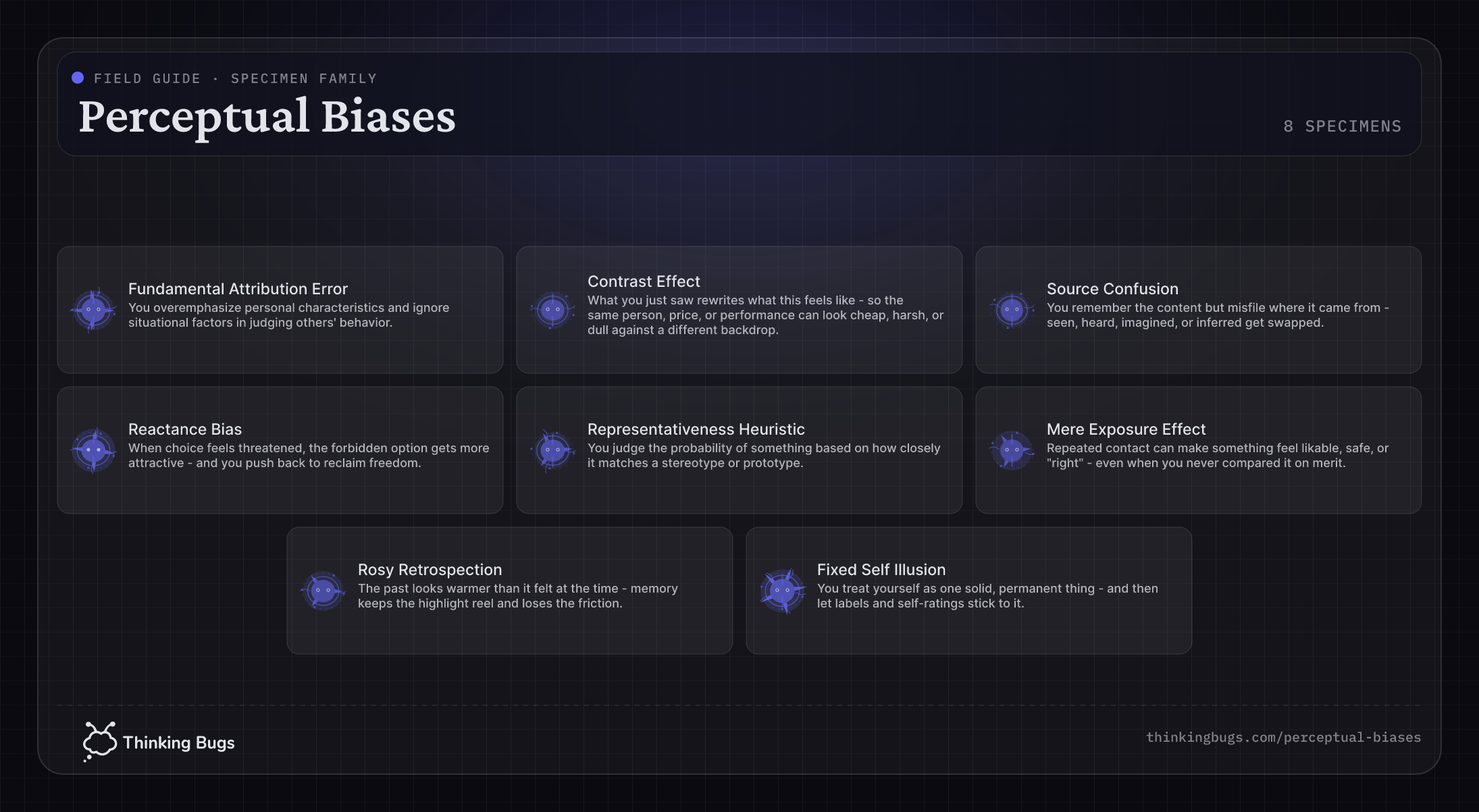 Perceptual Biases field guide